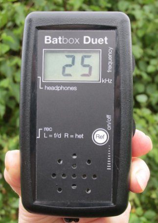 Bat detector box set for noctule