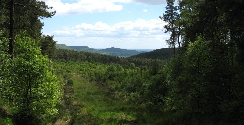 View from Boltby forest