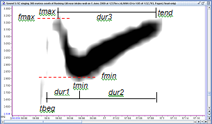 sonogram