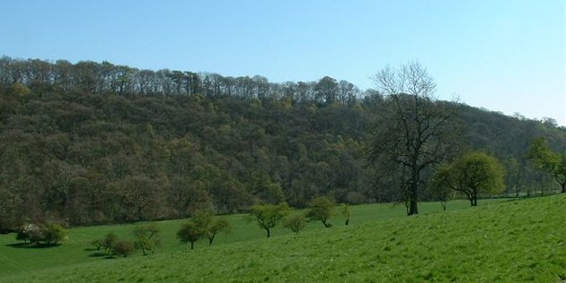 General view across the valley