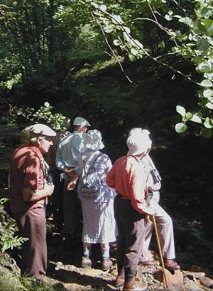 group in lodge gardens