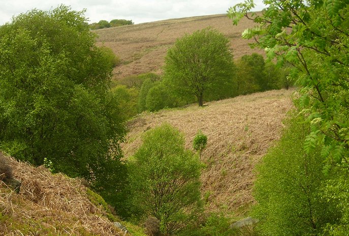 general view