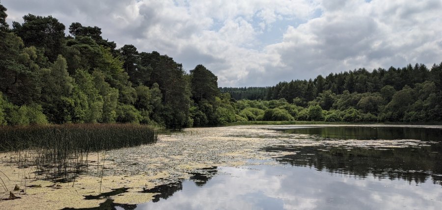 Gilling lake