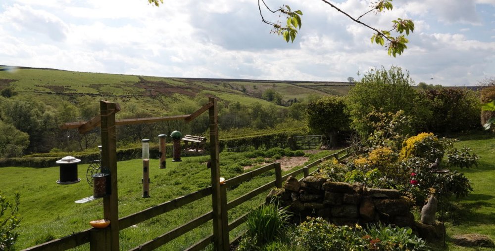 Hartoft view from High Mires