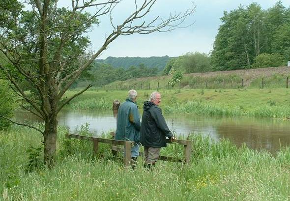 View of R Derwent and meadow