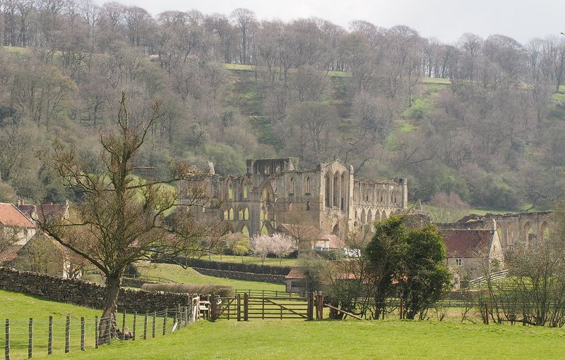 Rievaulx Abbey