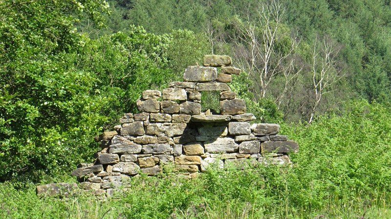 Redstart on ruined wall