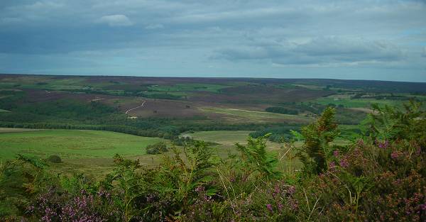 View from Rollgate top