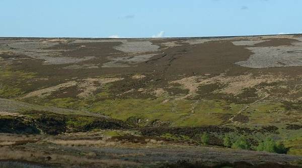 View of upper Rosedale