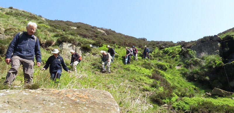 Ryedale members descending gill