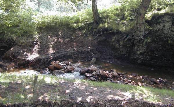 beck with flood scour and stones